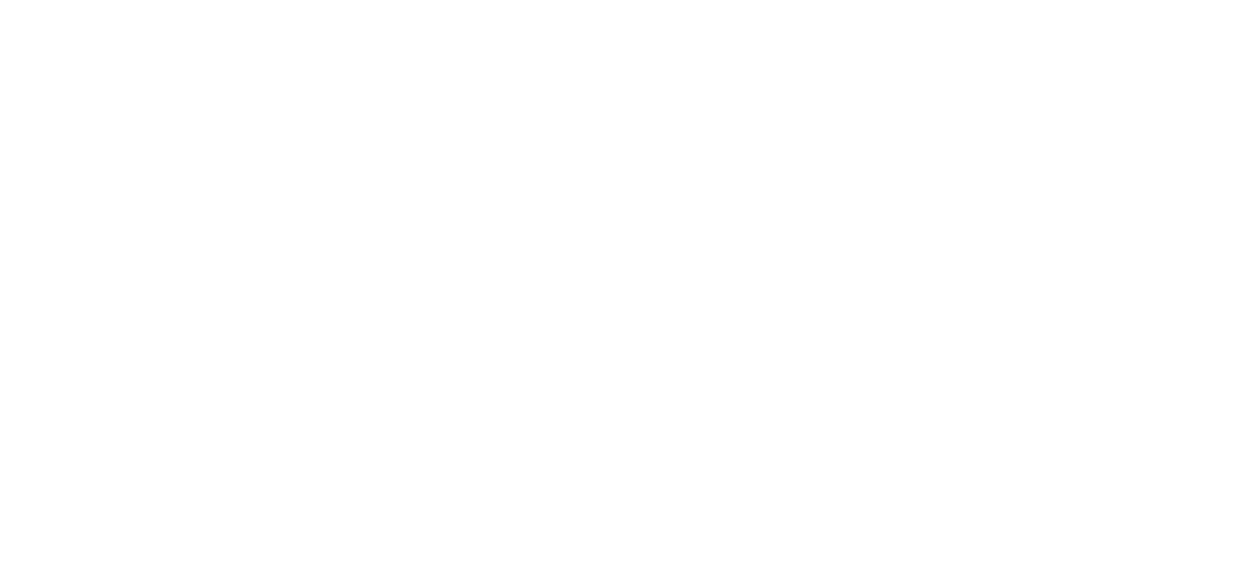 logo white